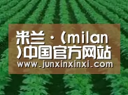 种植基地六