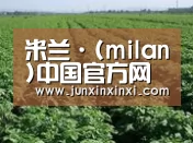 种植基地五