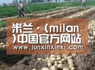 种植基地七(图1)