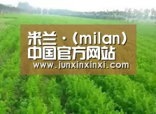 种植基地四