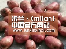 产品展示标题5(图1)