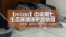 【milan】中央第七生态环境保护督察组督察中国五矿集团有限公司工作动员会在北京召开(图1)