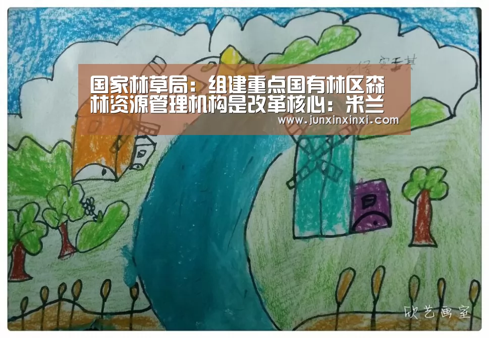 国家林草局：组建重点国有林区森林资源管理机构是改革核心：米兰(图1)