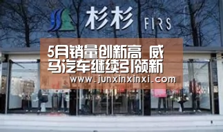 5月销量创新高 威马汽车继续引领新势力-milan(图1)