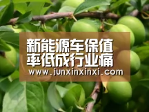米兰·(milan)中国官方网站