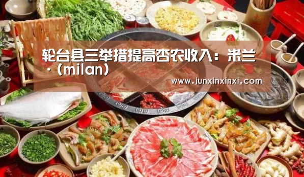 米兰·(milan)