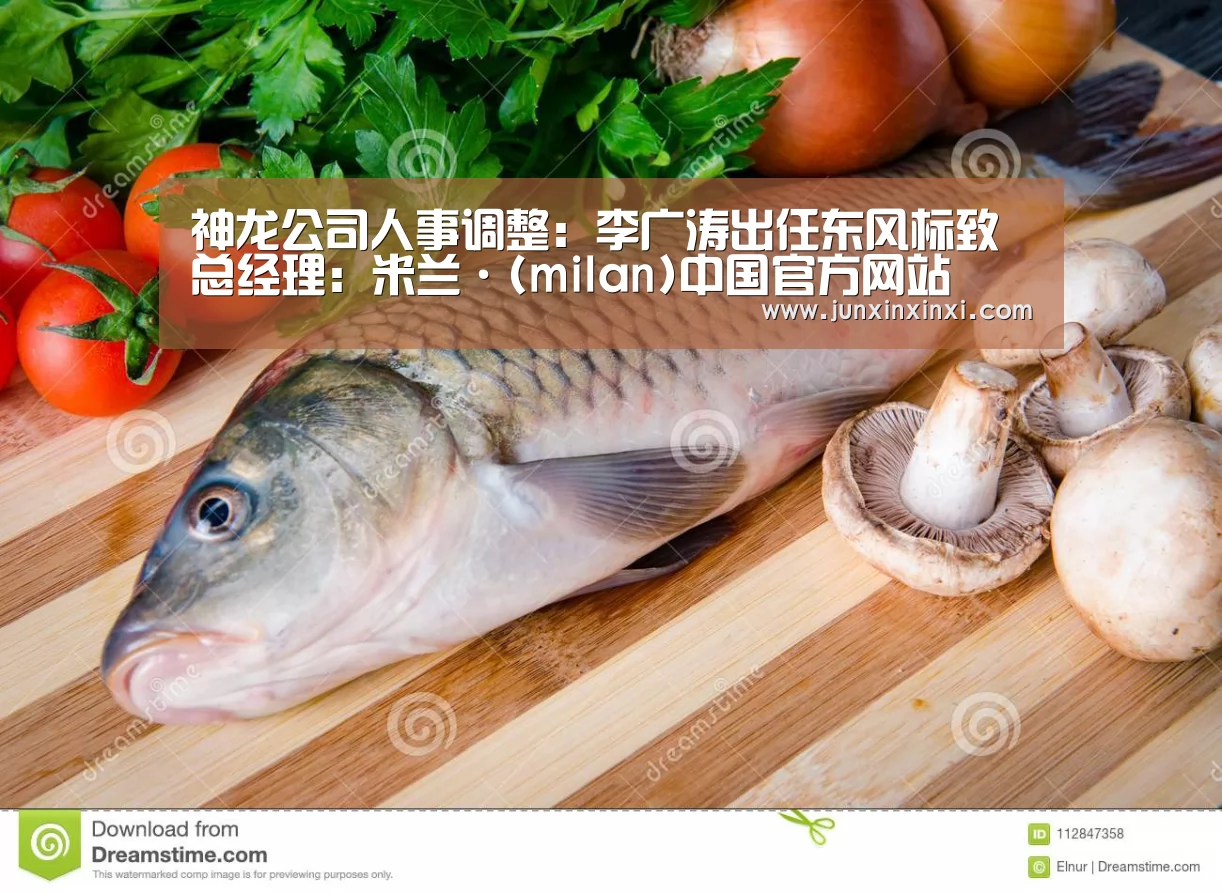 米兰·(milan)