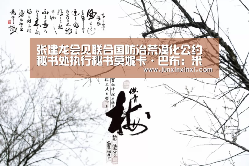 张建龙会见联合国防治荒漠化公约秘书处执行秘书莫妮卡·巴布:米兰·(milan)中国官方网站(图4) 张建龙会见联合国防治荒漠化公约秘书处执行秘书莫妮卡·巴布:米兰·(milan)中国官方网站(图4)