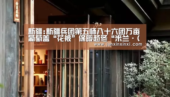 新疆:新疆兵团第五师八十六团万亩葡萄盖“花被”保暧越冬“米兰·(milan)”(图1)