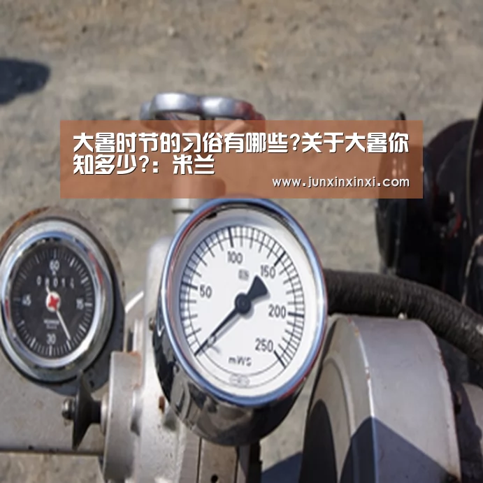 大暑时节的习俗有哪些?关于大暑你知多少?：米兰(图1)