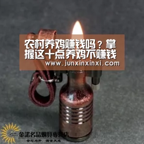 农村养鸡赚钱吗？掌握这十点养鸡不赚钱都难！：米兰·(milan)中国官方网站(图3)