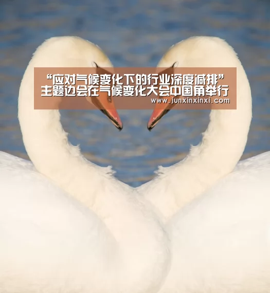 “应对气候变化下的行业深度减排”主题边会在气候变化大会中国角举行‘米兰·(milan)中国官方网站’(图2)