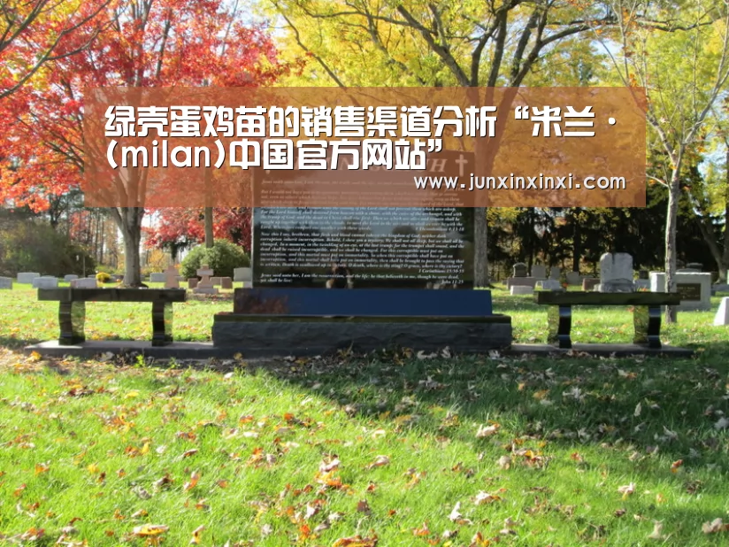绿壳蛋鸡苗的销售渠道分析“米兰·(milan)中国官方网站”(图1)