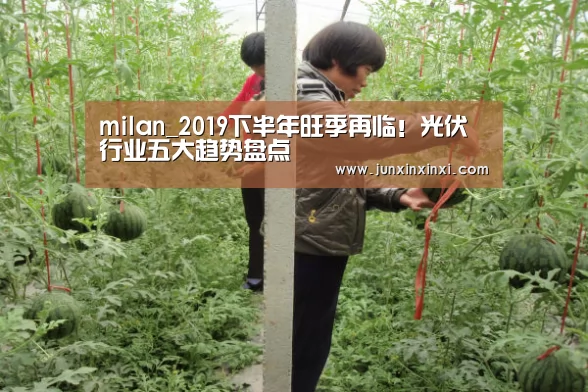 milan_2019下半年旺季再临!光伏行业五大趋势盘点(图4) 米兰·(milan)