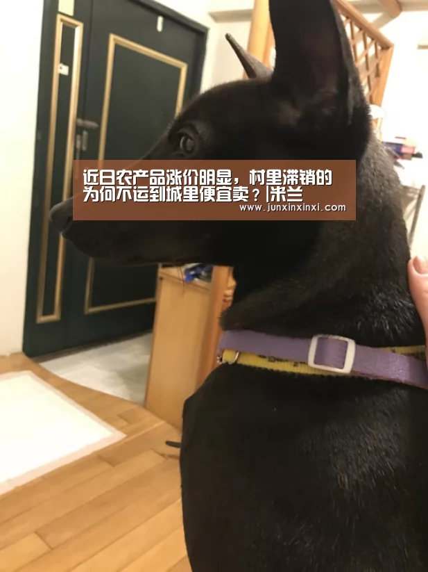 近日农产品涨价明显,村里滞销的为何不运到城里便宜卖?|米兰(图2) 米兰