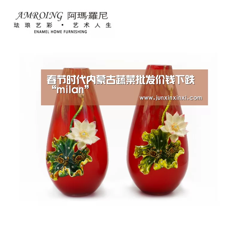 春节时代内蒙古蔬菜批发价钱下跌“milan”(图1) 米兰·(milan)中国官方网站