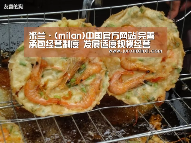 米兰·(milan)中国官方网站