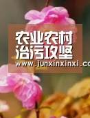 米兰·(milan)