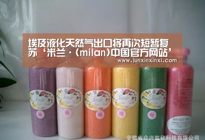 埃及液化天然气出口将再次短暂复苏‘米兰·(milan)中国官方网站’(图3)