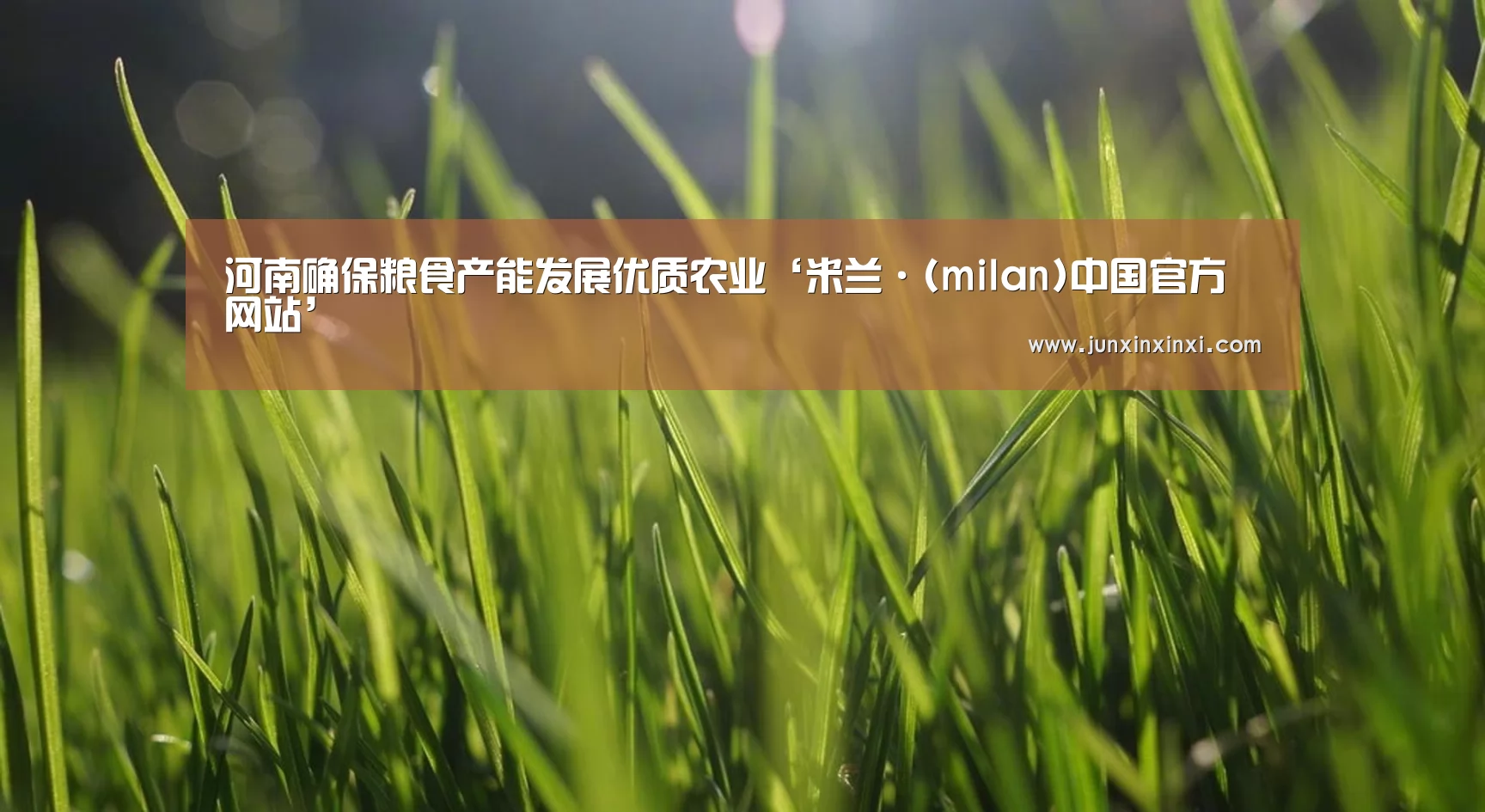 河南确保粮食产能发展优质农业‘米兰·(milan)中国官方网站’(图1) 米兰·(milan)中国官方网站