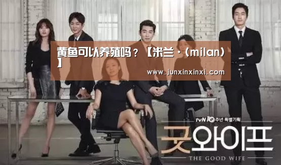 黄鱼可以养殖吗?【米兰·(milan)】(图1) 米兰
