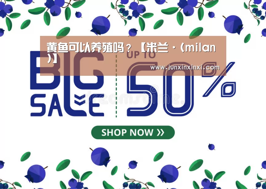 黄鱼可以养殖吗?【米兰·(milan)】(图4) 米兰·(milan)