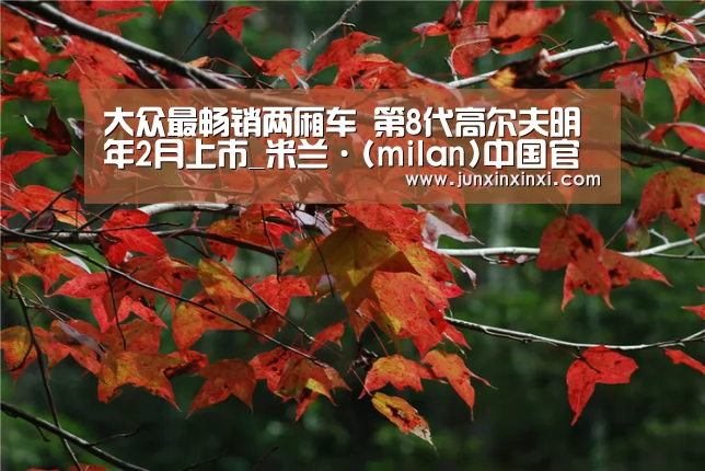 大众最畅销两厢车 第8代高尔夫明年2月上市_米兰·(milan)中国官方网站(图2)
