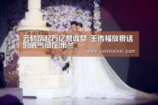 云轨筑起万亿营收梦 王传福放狠话的底气何在|米兰(图2) 云轨筑起万亿营收梦 王传福放狠话的底气何在|米兰(图2)
