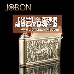 【米兰】生态环境部重点区域强化监督9个轮次 共发现涉气环境问题近2万个(图4) 米兰·(milan)