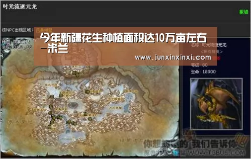今年新疆花生种植面积达10万亩左右-米兰(图4)